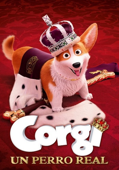 ver Corgi: Un perro real