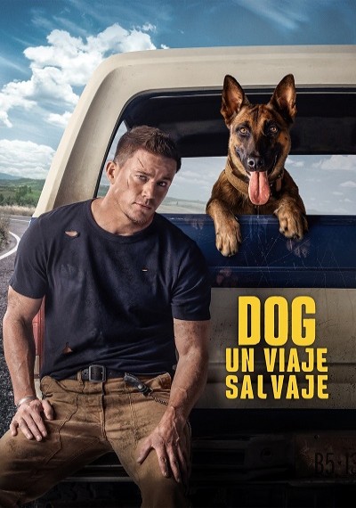 ver Dog: Un viaje salvaje