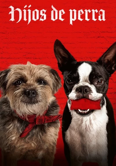 ver Hijos de perra