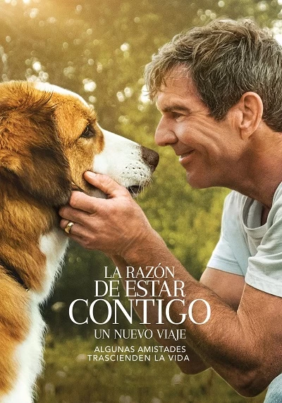 ver La razón de estar contigo: un nuevo viaje