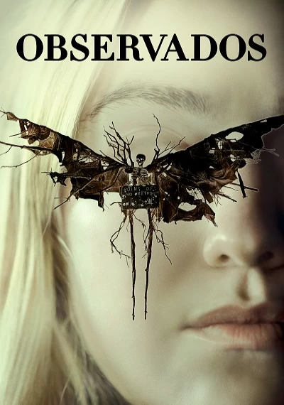 ver Observados